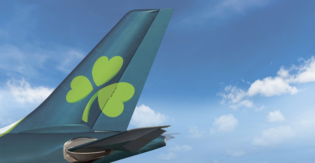 aer lingus regional hand luggage